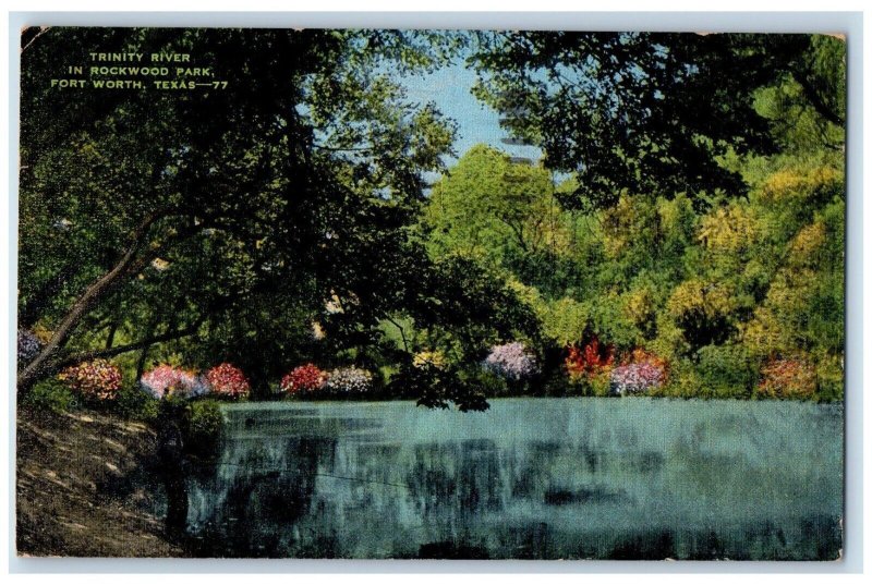 c1940s Trees in Trinity River Rockwood Park 1945 Fort Worth Texas TX Postcard