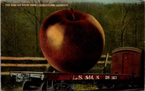 Exaggeration Postcard Giant Apple on a Railroad Train Freight Car L.S. & M.S.