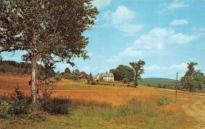 MARLBORO, VT Vermont   MOLLY STARK TRAIL~ROUTE 9  Homes~Barn  Chrome Postcard