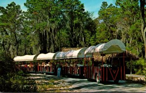 Florida Weeki Wachee Covered Wagon Train Sightseeing Trip