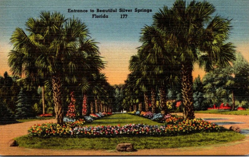 Florida Silver Springs Entrance