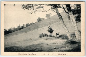 c1910s Nara Japan Mount Wakakusayama Wakakusa Deer Grass Hill Collo Postcard A55