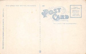 Flying Fish Catalina Island, CA, USA Fishing Postcard