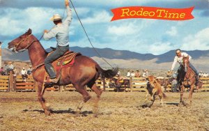 RODEO TIME Cowboys Horses Ranch Style Calf Roping c1950s Vintage Postcard