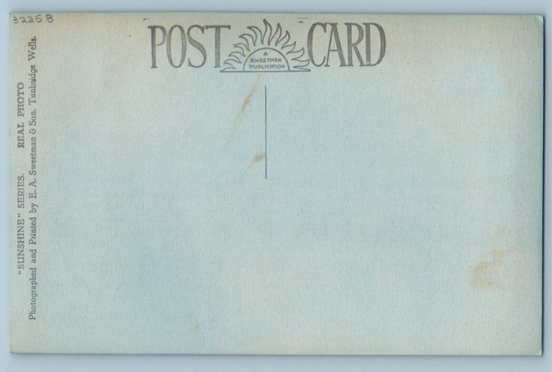 Devon England Postcard Old Yew Tree Stoke Gabriel c1910 Antique RPPC Photo