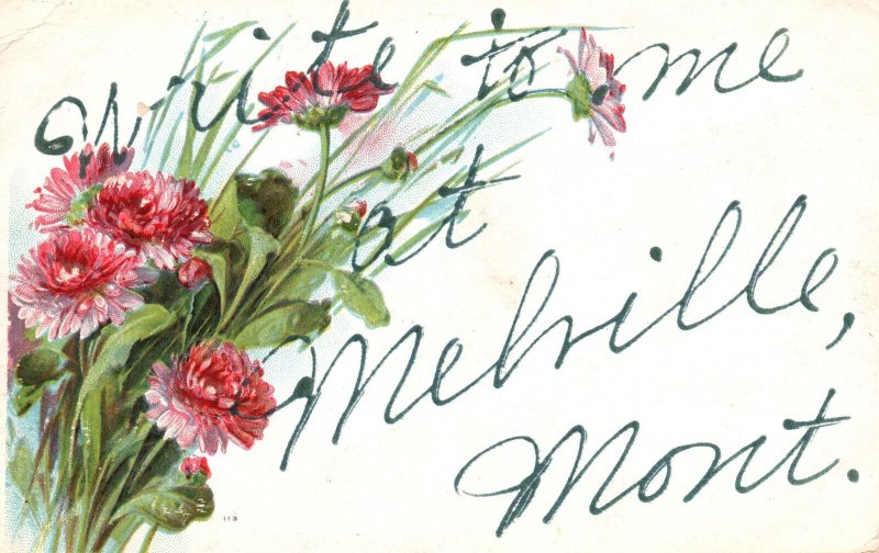 Vintage Postcard 1909 Write To Me At Mehille Montana Flower Bouquet Asters