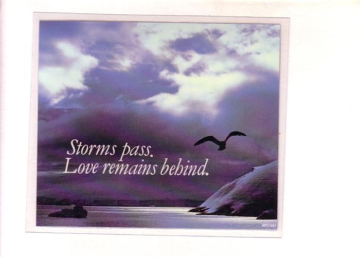 Peel Off Plastic Postcard Coaster,  'Storms Pass, Love Remains Behind; Seagull