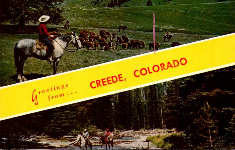 Colorado Greetings From Creede Cattle Scene