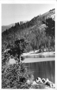 California Shaver Lake Huntington Fresno RPPC Photo Postcard 22-8911