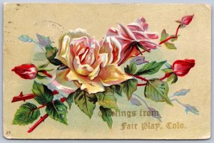 K45/ Fairplay Colorado Postcard c1910 Greetings from Fairplay 499