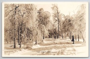 RPPC Frozen Spray On Trees Goat Island Niagara Falls NY Postcard U24