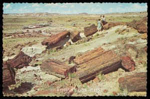 Petrified Forest National Monument