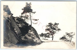 c1910s High-Altitude Cliff Road RPPC Majestic Trees Beautiful Photography A143