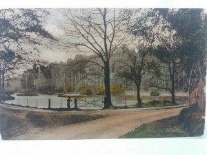 Sweet Water Witley Nr Godalming Surrey UK Vintage Friths Series Postcard