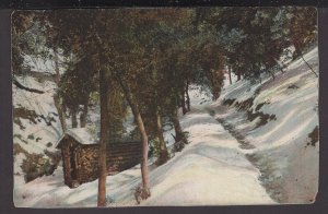 California On the Mt. Lowe Trail in Winter ~ DB