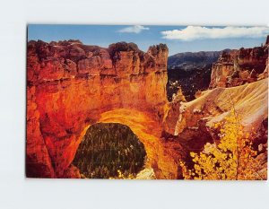 Postcard Natural Bridge Bryce Canyon National Park Utah USA
