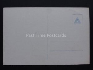 Norway: Molde Old RP Postcard