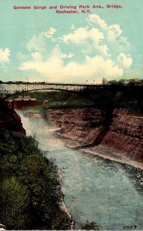 New York Rochester Genesee Gorge and Driving Park Avenue Bridge