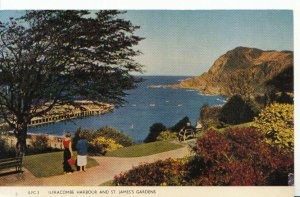 Devon Postcard - Ilfracombe Harbour and St James Gardens - Ref 459A