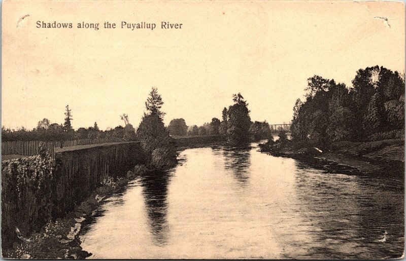 Shadows Along Puyallup River Reflection Wob Note Black White Antique Postcard 