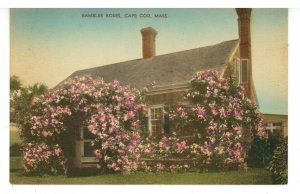 MA - Cape Cod, Chatham. The Rose Cottage