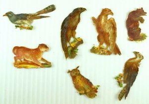 1880's-90's Victorian Die-Cut Lot Of 7 Eagle Hawk Falcon Cheetah Owl PD363