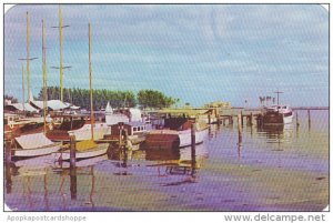 Fishing Fleet In Florida