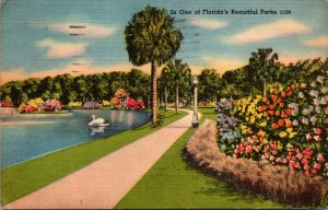 Florida Scene In One Of Florida's Beautiful Parks 1958