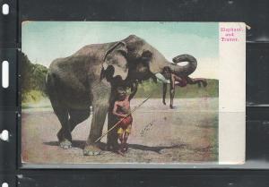 INDIA, BOMBAY, 1911, ELEPHANT TRAINER MAILED TO FLORENCE, ITALY