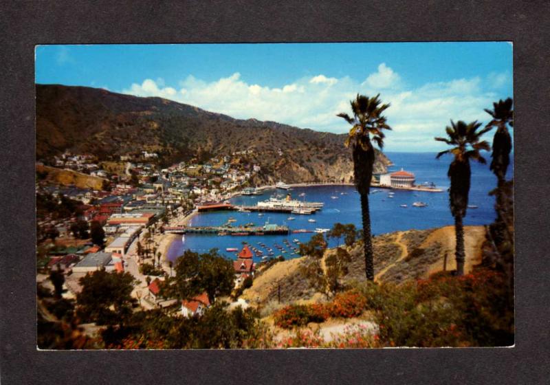 CA Avalon Bay Catalina Island California Terrace Drive Postcard