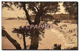 Old Postcard Ile de Noirmoutier Beach Wood of Chaize