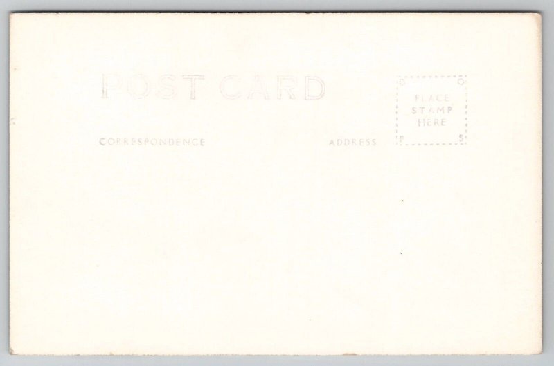 RPPC Beautiful Scenic View White Mountains NH New Hampshire Postcard H24