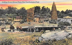 African Plains New York Zoological Park, USA Unused 