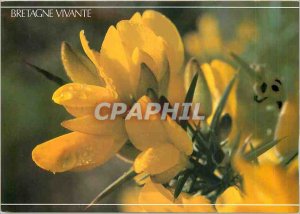 Postcard Modern Living UK