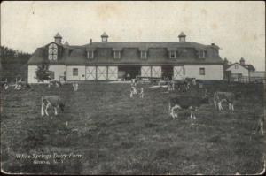 Geneva NY White Springs Dairy Farm c1910 Postcard