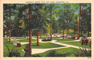 Hanlon's Grove Scranton Pennsylvania, PA