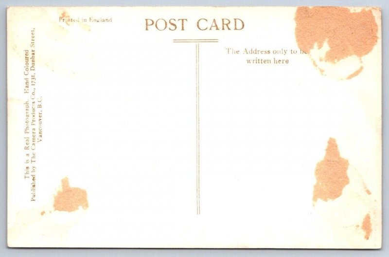 Saskatchewan Legislative Buildings, Regina Saskatchewan, Tinted RPPC Postcard