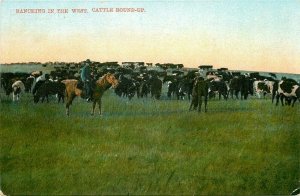 Western, Ranching in the West, Cattle Round-Up, W.G. Farlane