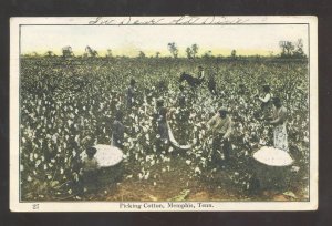 MEMPHIS TENNESSEE FARMING COOTTON PICKERS VINTAGE POSTCARD 1910