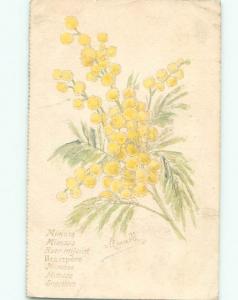 foreign 1918 Postcard signed MIMOSA FLOWERS AC2568