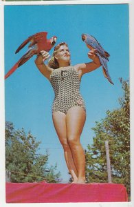 P2743 vintage photo pc pretty girl with 2 parrots birds lake george area NY