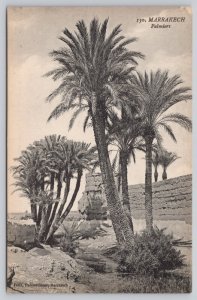 Postcard Marrakech Morocco Palmiers Palm Trees Wall 1910s DB View