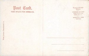 Toledo State Hospital, Ohio Insane Asylum c1910s Tom Jones Vintage Postcard