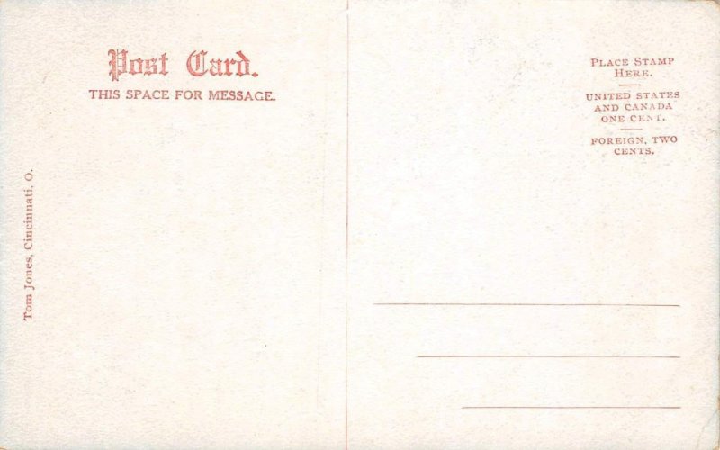 Toledo State Hospital, Ohio Insane Asylum c1910s Tom Jones Vintage Postcard