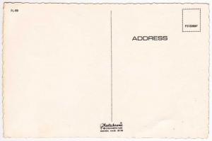 Colorful Shells - Eternal Call of the Sea