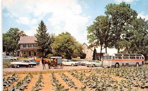 The Amish Farm & House Lancaster, Pennsylvania, USA Unused 