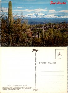 Snow Covered Four Peaks (10966)