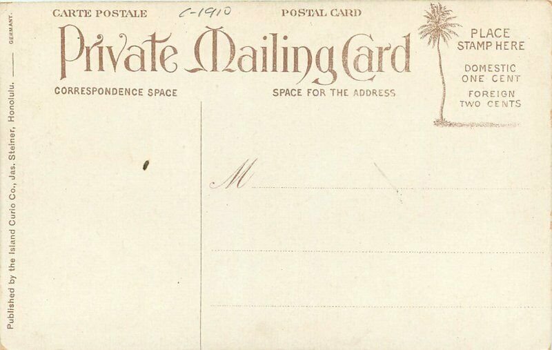 C-1910 Royal Hawaiian Hotel Honolulu Hawaii Island Curio Postcard 20-1845