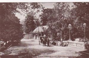 Ohio Cincinnati Driveway In Beautiful Burnet Woods Park 1911