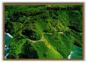 Aerial View Road To Hana Maui Hawaii HI UNP Gilt Continental Postcard O21